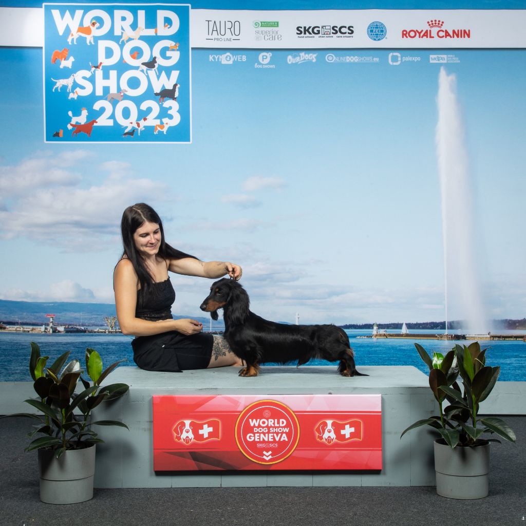 CH. Adalbert z zamkowej kompanii