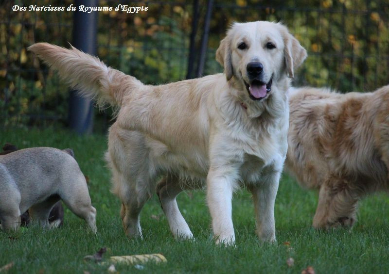 Voie lactée Du Coeur Des Terres