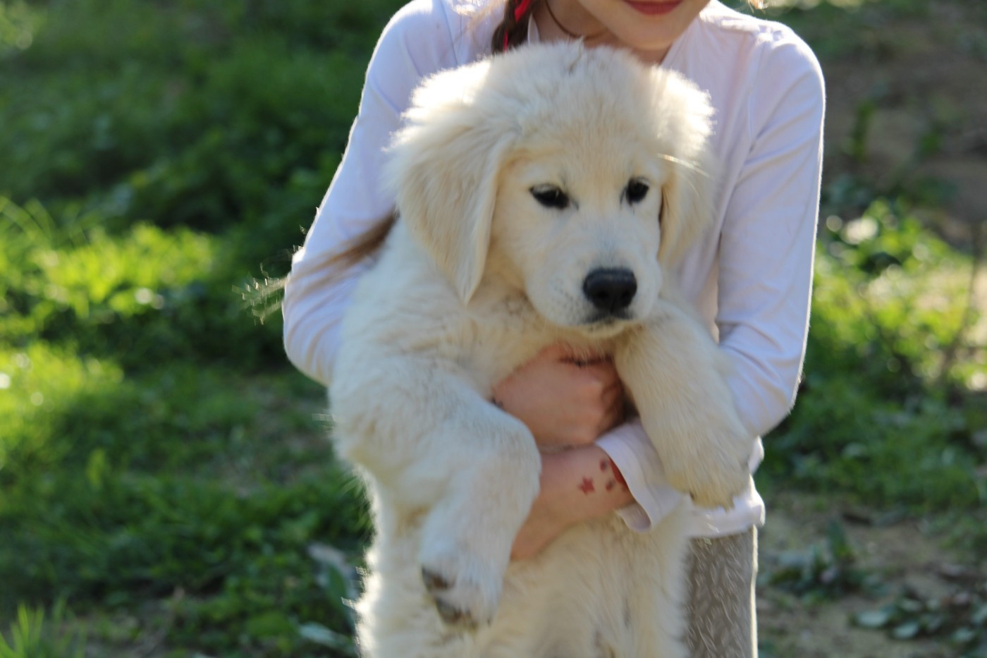 Akuna Matata De L'esquisse Sauvage